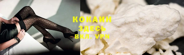 PSILOCYBIN Богородицк