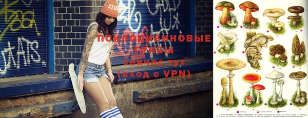 трава Богданович